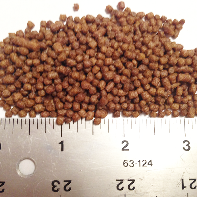 Closeup photo of AquaNourish pelleted fish food with ruler showing 2mm size