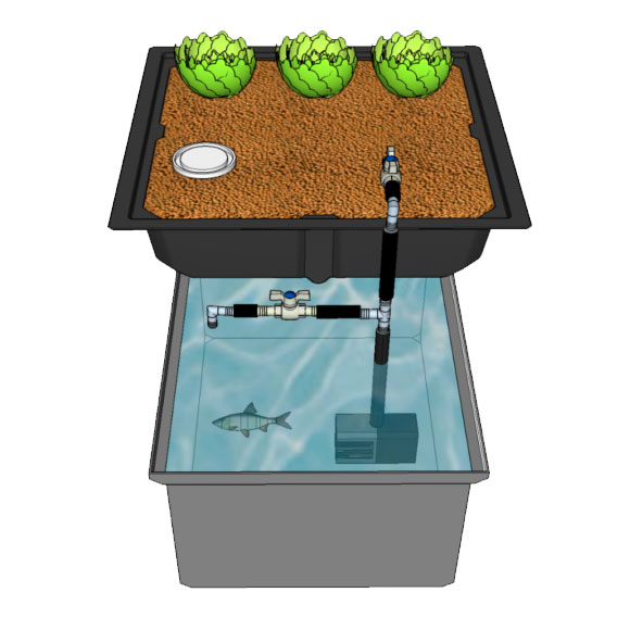 Photo of sketchup rendering of 1 media bed and one fish tank with plumbing system