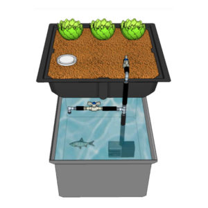Illustration of a single media bed over a fish tank using the plumbing kit