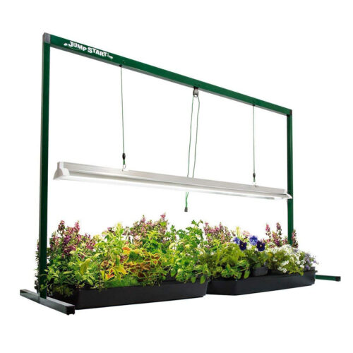 Photo of Jump Start light rack holding T5 light fixture over plants