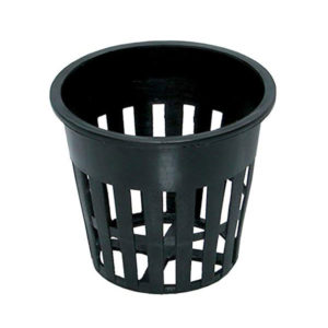Photo of black plastic, slotted cup with rim, 2" diameter