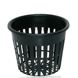 Photo of black plastic, slotted cup with rim, 3" diameter