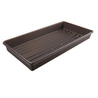 Photo of black rectangular plastic tray for seed starting