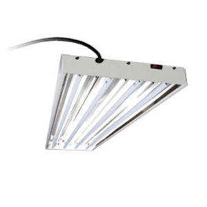 Photo of T5 Fluorescent Commercial Light Fixture