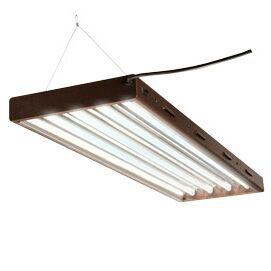 Photo of T5 Designer Light Fixture, holds 4 Florescent Tube Bulbs