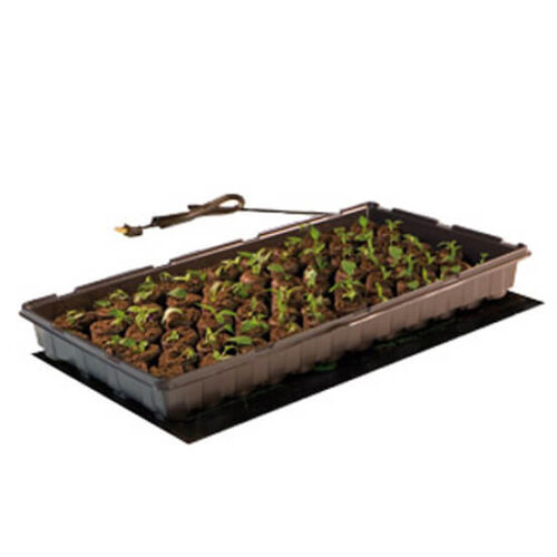 Photo of slim, black mat underneath a tray of seedlings