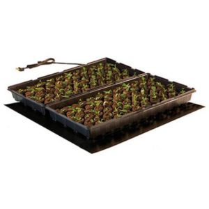 Photo of 20" x 20" black heating pad under a tray of seedlings