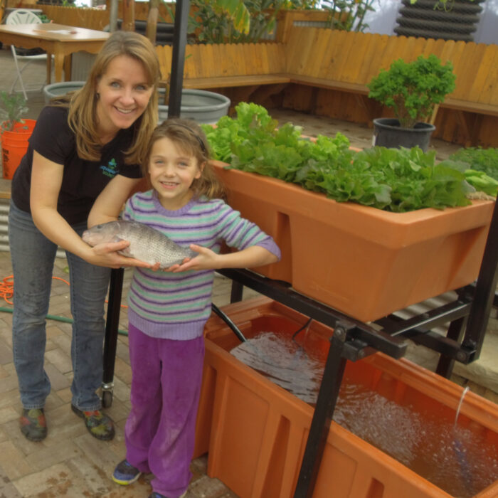 The AquaUrban Aquaponics System - Image 2