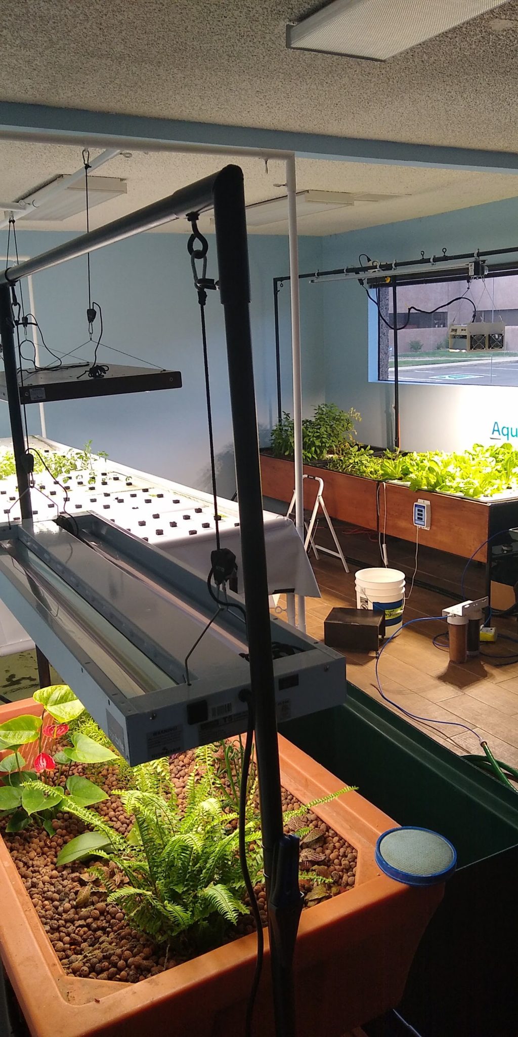 aquaurban home school aquaponics system