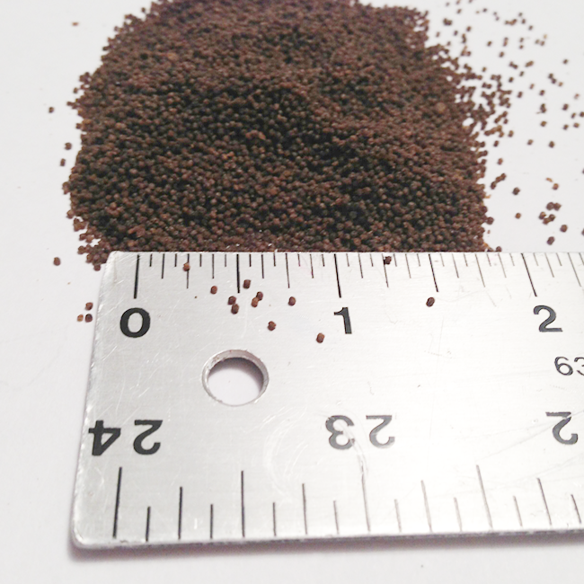 Closeup photo of AquaNourish Stage 1 with ruler, showing .8mm pellet size