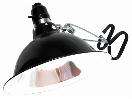 grow light with clamp