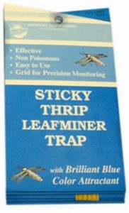 Blue Sticky Trap for Thrip and Leafminer – 5 Pack