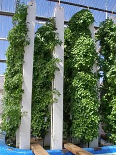 ZipGrow Tower – 3 ft., Hanging