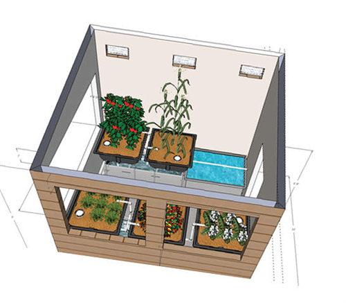 Aquaponics Design and 3D Rendering