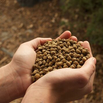 Hands holding pellets of AquaOrganic Fish Food