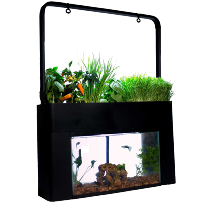 AquaSprouts Aquarium Garden Kit | The Aquaponic Source