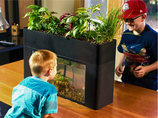 AquaSprouts Garden Kit | The Aquaponic Source