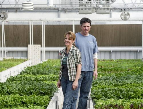 CBS 4 Denver Nightly News Story about Colorado Aquaponics and the GrowHaus