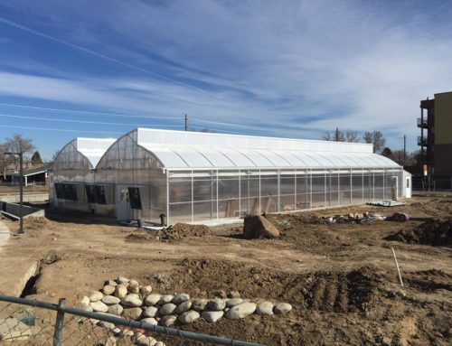 Aquaponic Farm at Mental Health Center of Denver