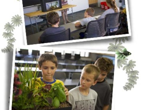 The Aquaponic Source and AquaSprouts Announce School Giveaway