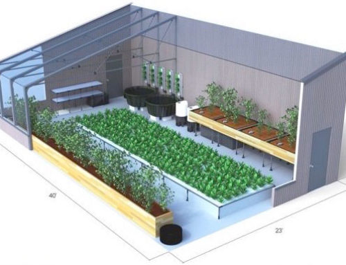 Aquaponic and Greenhouse Pioneers Partner
