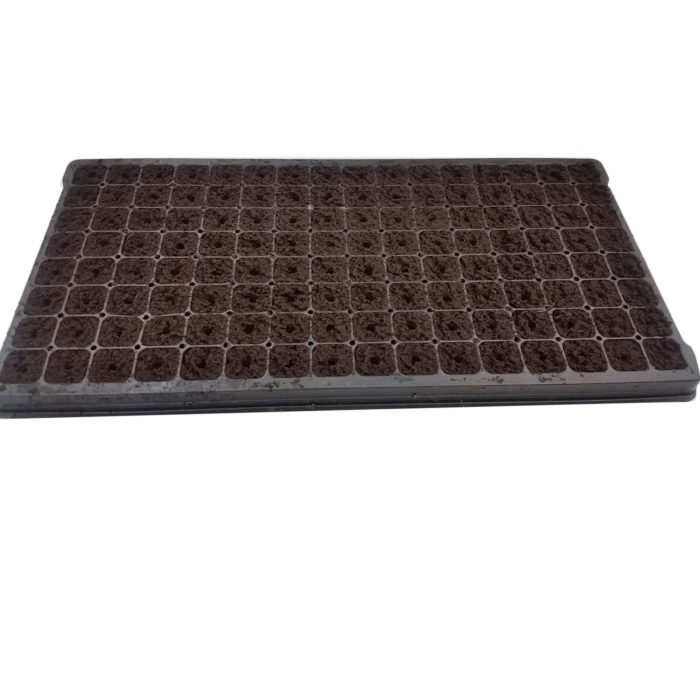 Photo of 128 cell black plastic tray filled with seed starting cubes