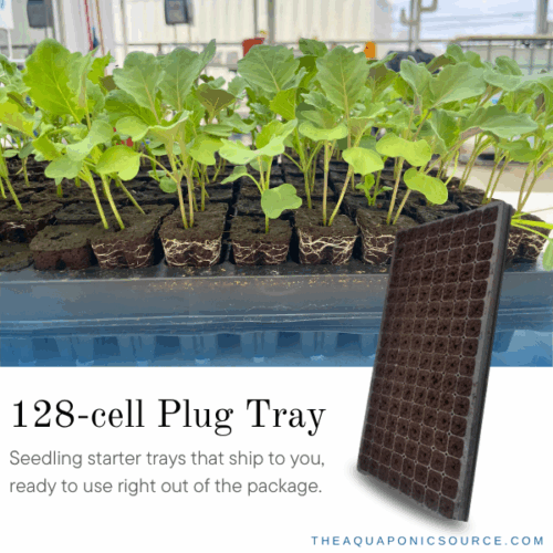 128 Cell Plug Tray