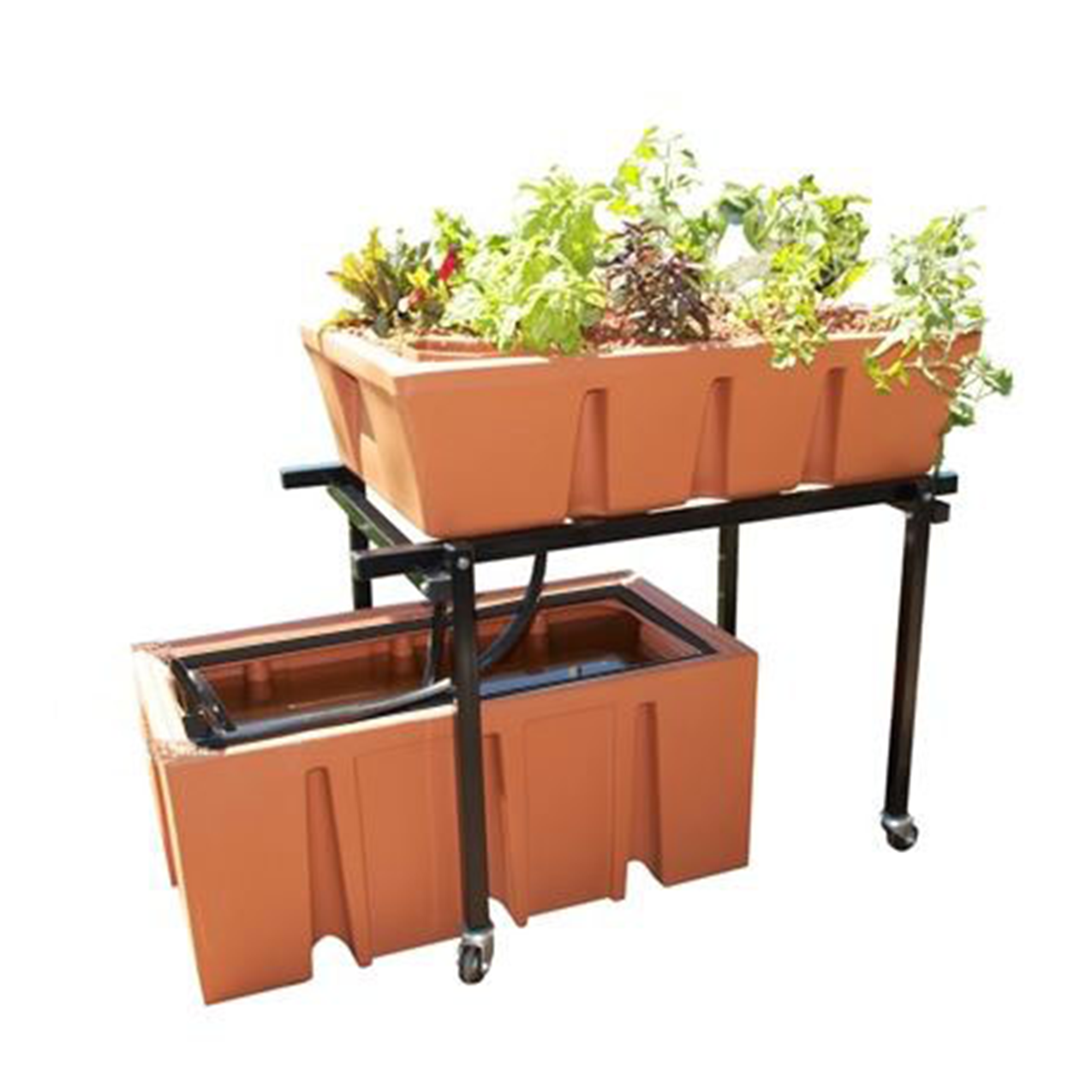 School Aquaponics | The Aquaponic Source