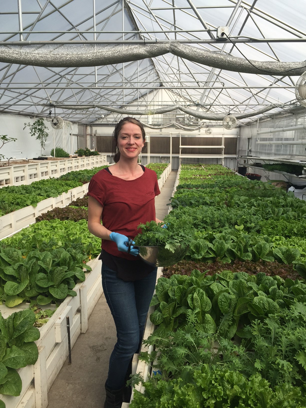 Aquaponics Classes The Aquaponic Source