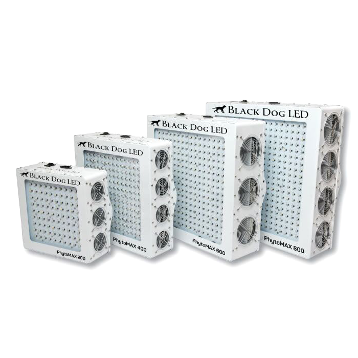 Black Dog LED PhytoMAX Series II | The 