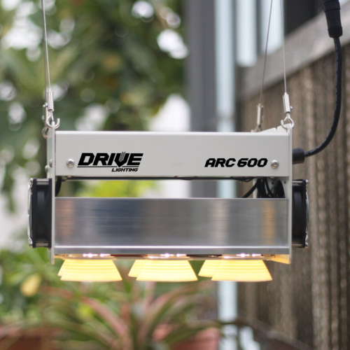photo of Arc 600 LED grow light, suspended above grow space
