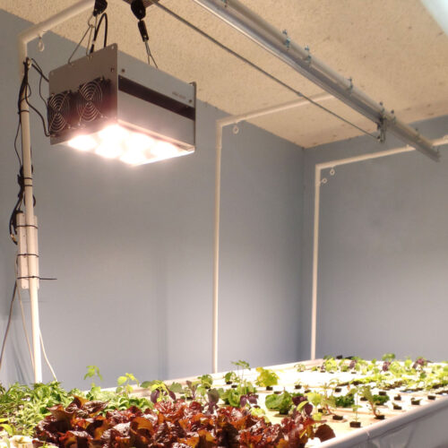 Photo showing two LED grow lights suspended from an automated moving track