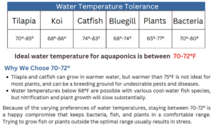best fish for aquaponics