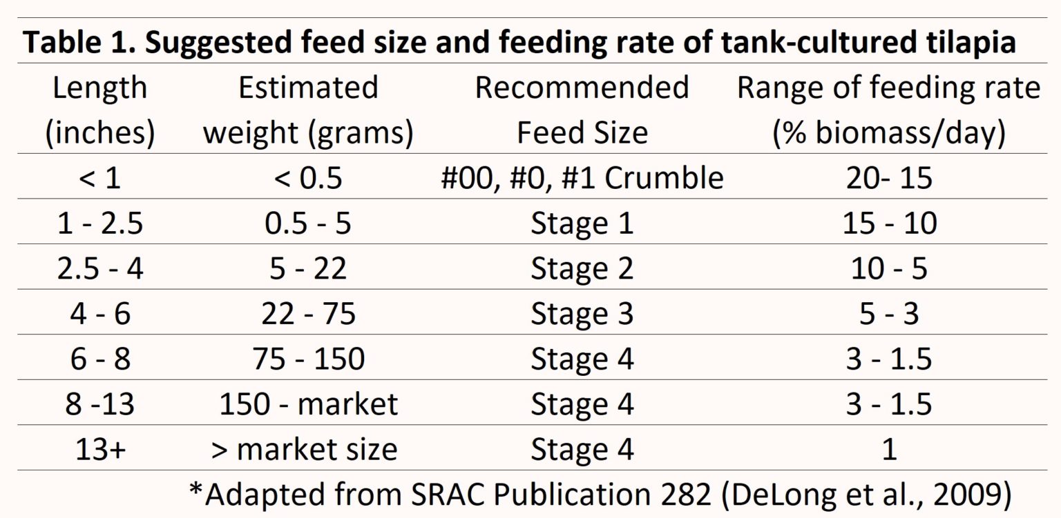 FAQs The Aquaponic Source