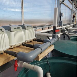 Alita air pumps in aquaponics