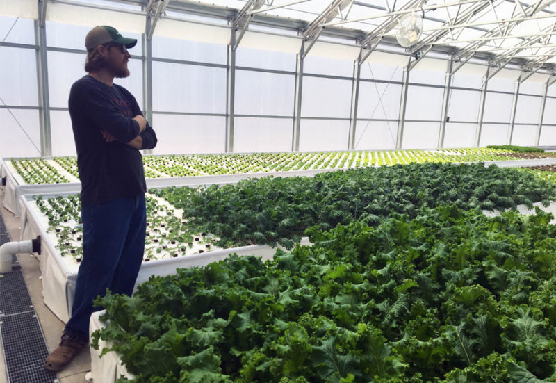 Aquaponic Systems, Supplies and Education The Aquaponic Source