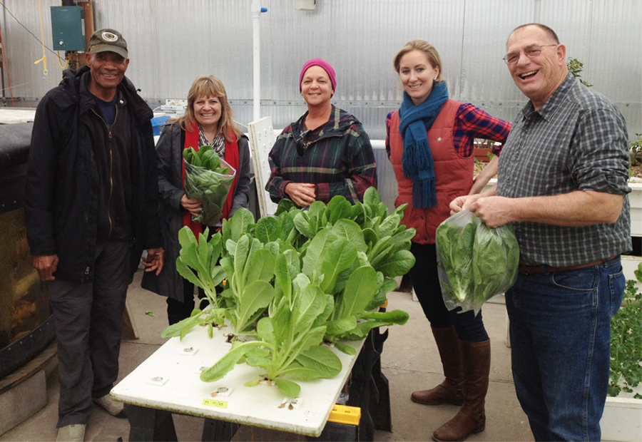 Students learning how to harvest plants from an indoor aquaponics farm.