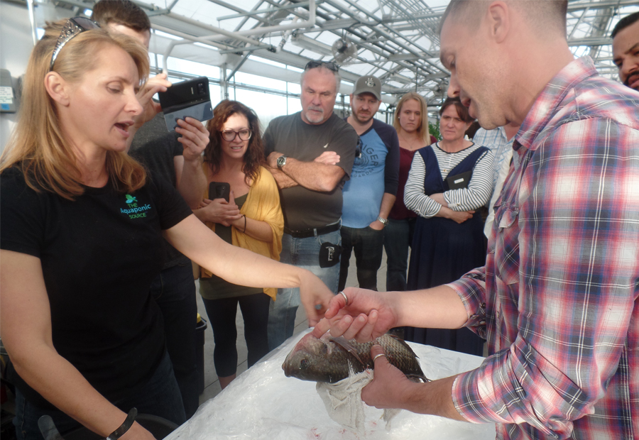 Our instructor and students learning about the anatomy of the tilapia.