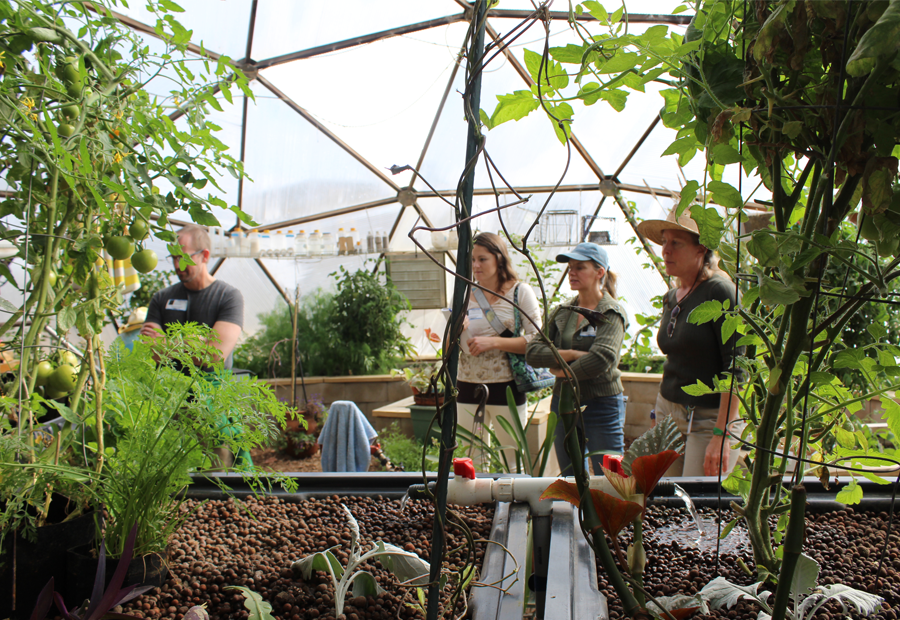 Flagstaff_Aquaponics_Tour