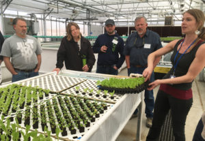 aquaponic class looking at seedlings