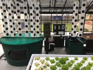 Photo of Northside Farm, view of fish tank and vertical growing systems