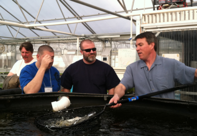 Immersion_JD_Fishtank