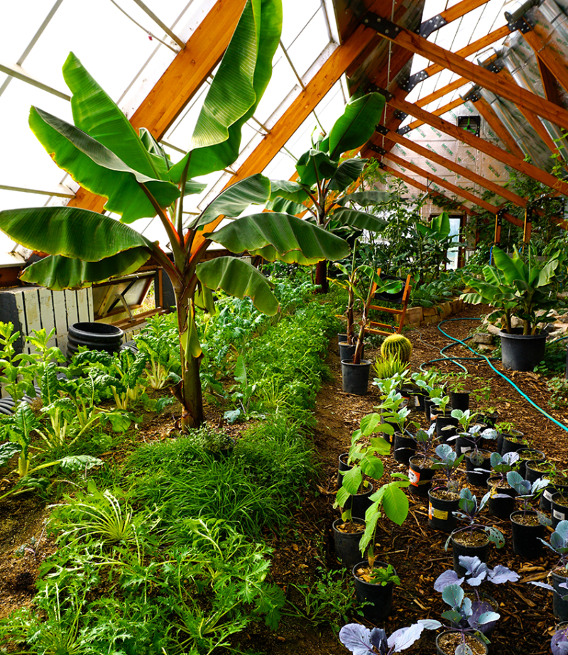 Passive_Greenhouse_Natural