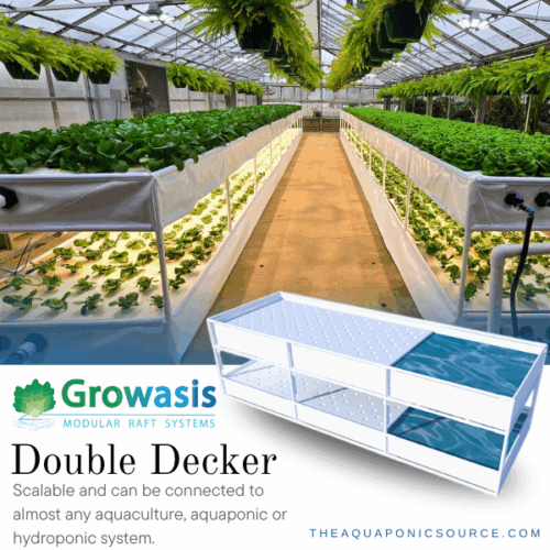 growasis double decker