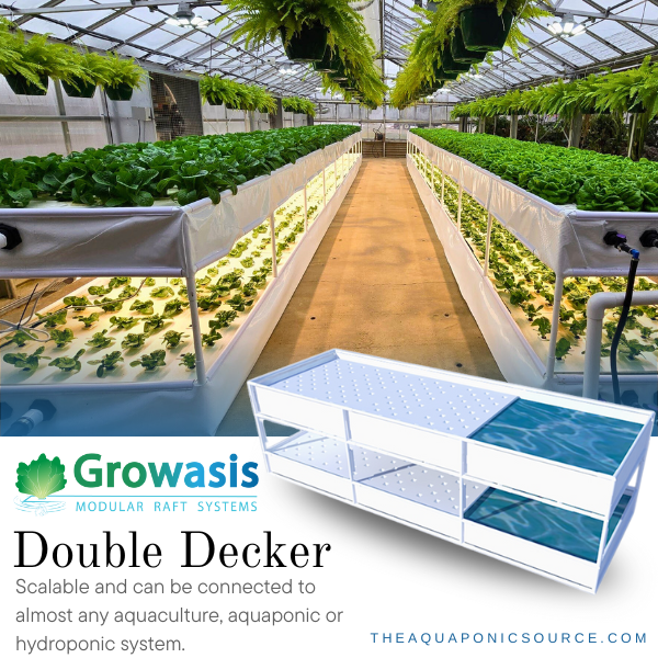 growasis double decker