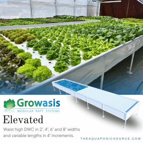 growasis elevated