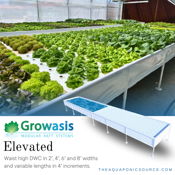 growasis elevated