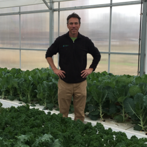 JD Sawyer in an aquaponic greenhouse