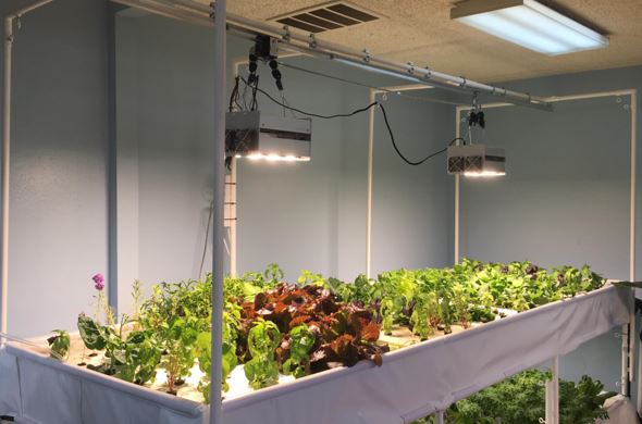 Aquaponic modular production systems