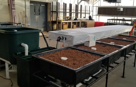 Portfolio Archive | The Aquaponic Source